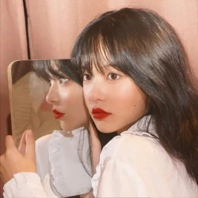 羊与钢的森林